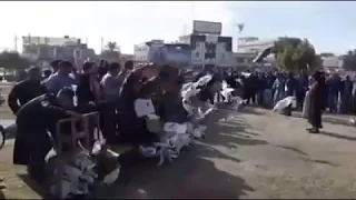 فكه طيور مساجي مطيار نهار كامل سوق الغزل 