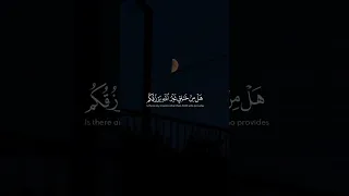  ما يفتح الله للناس من رحمة فلا ممسك لها وما يمسك فلا مرسل له من بعده وهو العزيز الحكيم  المنشاوي دندنها
