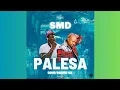 L'VOVO FT. PROFESSOR - PALESA [GQOM/SGHUBU](BOOTLEG PRODBY.SMD)