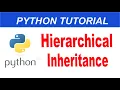 Hierarchical Inheritance in Python Python Complete Course in
