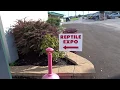 Western Maryland Reptile Show 2018
