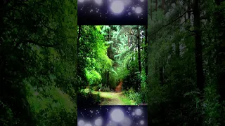 لماذا أصر محمود السعدني على علاج ابنته في لندن الحلم و الفقر الجديد كتاب الولد الشقي في المنفى 