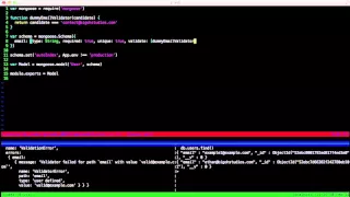 13 - Custom validations in Mongoose