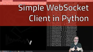 8 1 How to Create a WebSocket Client in Python - Fun with WebSockets
