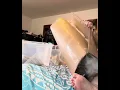 For Leafy Soulmates - Parts 2 3 no edits