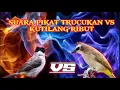 Download Lagu SUARA PIKAT TRUCUKAN VS KUTILANG RIBUT