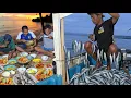 Lagu 11 Hari di Pulau Terpencil, Mancing Ikan sekali strike Puluhan Ekor naik diperahu #Part10