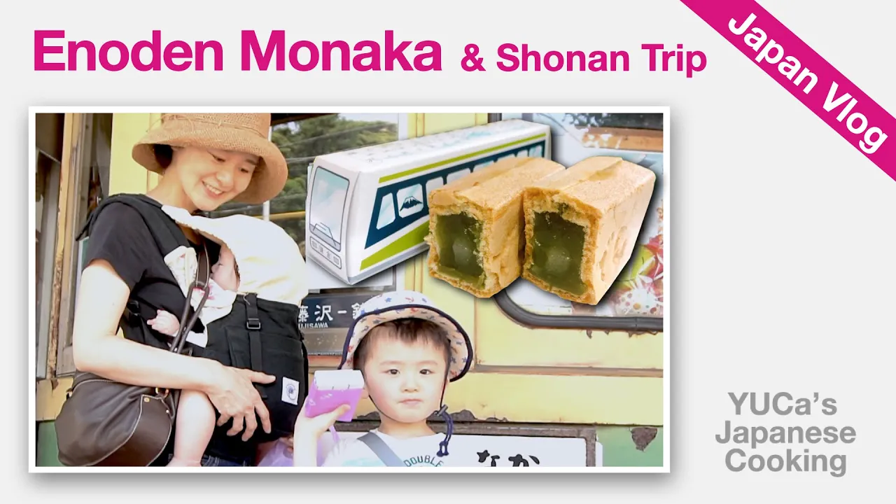 Japan Vlog : Enoden Monaka & Shonan Trip   Food Tour   YUCa