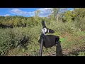 EGO Multi head Brush Cutter attachment