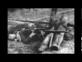 World War 1 Weapons - Sniper Rifles