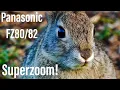 Download Lagu Zoom Demo Video - Panasonic Lumix FZ80/FZ82 | Cottontail Rabbit | Best Budget Superzoom Camera