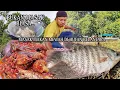 Download Lagu INI MASAKAN YANG BIKIN BETAH.. PETUALANG SEMAK BELUKAR| SEDERHANA NIKMATNYA LUAR BIASA
