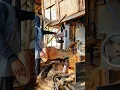 Download Lagu SawCutting​ #Woodworking​ #Logging​ #Chainsaw​