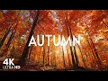 Download Lagu Peaceful Autumn Morning 🍂Healing Piano Music For Mind And Soul, Autumn Relaxing Music, Calming Music