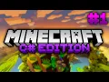 REPROGRAMMING MINECRAFT - THE CHARACTER