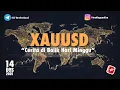Lagu XAUUSD | Cerita di Balik Hari Minggu 14 Des ‘25