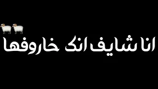 حاله واتس شاشه سوداء   مودي امين   مبسوط علشان انا شايف انك خاروفها دندنها