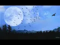 Yasper - Birds Fly Higher Than the Moon