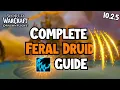Feral Druid Guide for 10 2 5 M Raid - Wow Dragonflight
