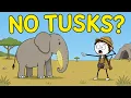 17 Years of War The Fastest Evolution Ever Seen in a Large Mammal