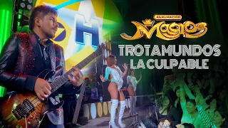 Agrupación Magios - Mix Trotamundos 2025 (Live) Lima Perú