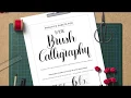Learn Calligraphy Calligraphy Practice Sheets Basic Strokes Upper Lowercase Alphabet PDF