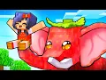 Download Lagu Chosen by the STRAWBERRY ELEPHANT!