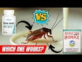 Boric Acid vs Borax - Which Is Better for Cockroach Control