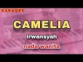 Download Lagu Karaoke CAMELIA nada wanita | Irwansyah
