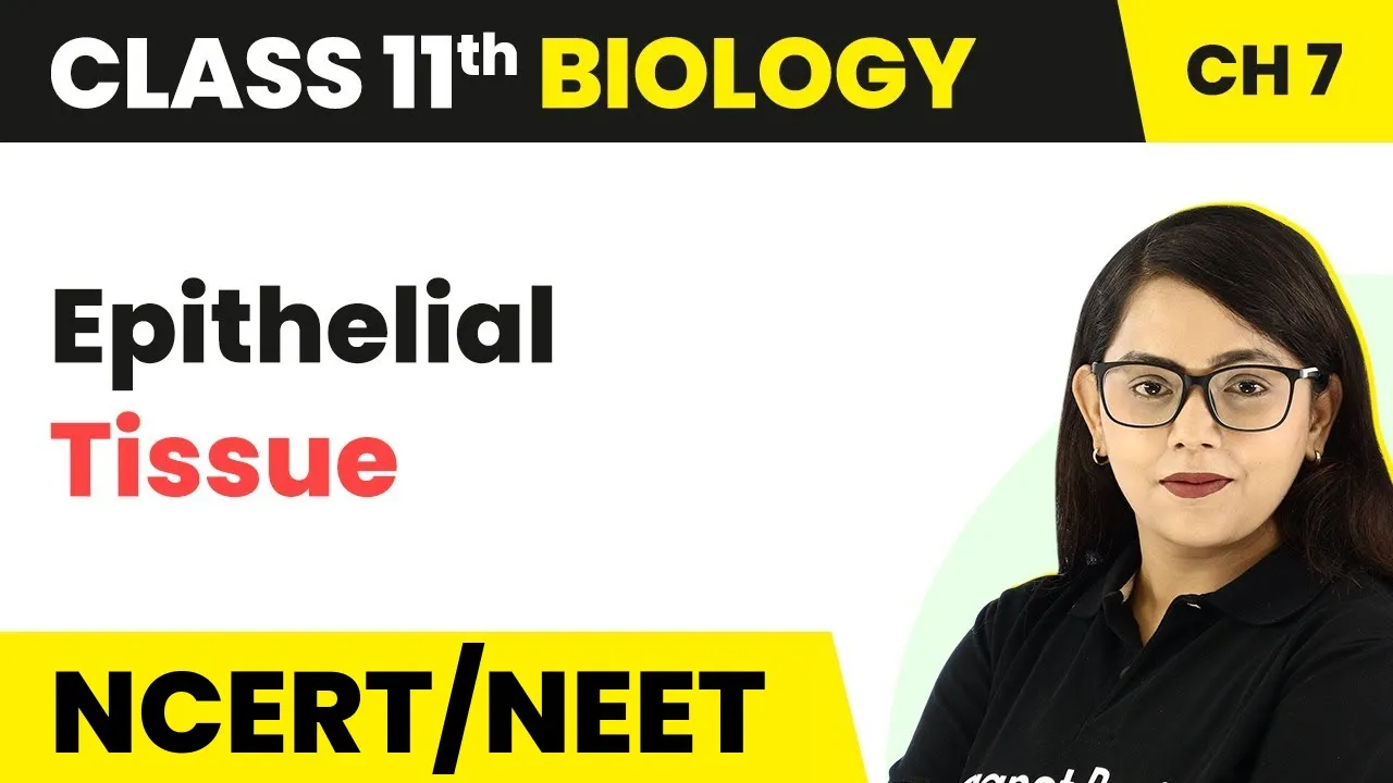 Epithelial Tissue Class 11 | Structural Organisation in Animals | Class 11 Biology