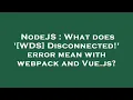 NodeJS What does WDS Disconnected error mean with webpack and Vue js