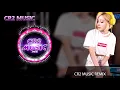 Download Lagu CR2 Music 《问》Wen  ✘ 《记事本》Jie Se Pen DJ Remix 2019