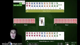 Interactive Problem