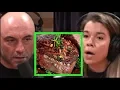 Joe Rogan - Dr Rhonda Patrick on the Carnivore Diet