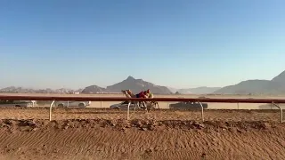 ش٣  التيار ل  احمد عيد حمد الزوايده   قعدان مفرد   التمهيدي الثالث ٢٠٢٦  دندنها