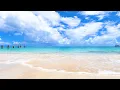 Nature s Lullaby Gentle Waves For a Good Night s Sleep from The Caribbean