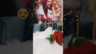 صباح الخير حبيبتي احبج والله حبيبتي حبيبتي 