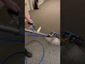 Commercial carpet cleaning in Opelika Alabama