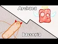 Archaea Bacteria s Pacifist Cousins