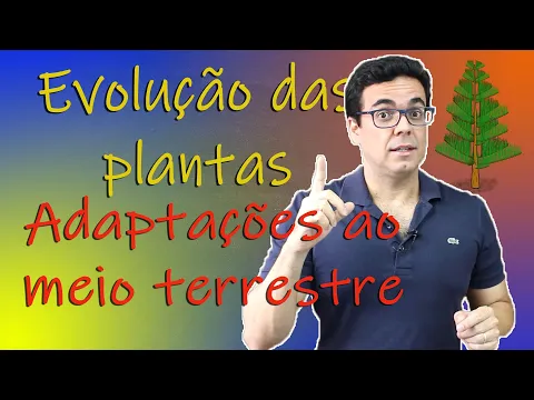 Download MP3 Evolução das Plantas Terrestres - origem evolutiva a partir das algas verdes