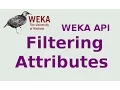 WEKA API Filtering Attributes
