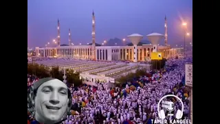 بشاير مالحبيب هلة سيد إسماعيل 