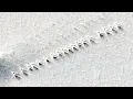 Download Lagu Something Massive Has Just Been Detected By Satellite Trackers In Antarctica