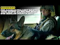 Download Lagu Prajurit Wanita Mengadopsi Anjing yang Menyelamatkan Nyawa Seluruh Tentara | Alur Film
