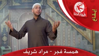 همسة فجر مراد شريف طيور الجنة 