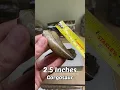 What s the BIGGEST Dinosaur Tooth in this Collection