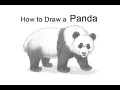 How to Draw a Giant Panda