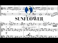 Sunflower Post Malone - String Quartet arrangement