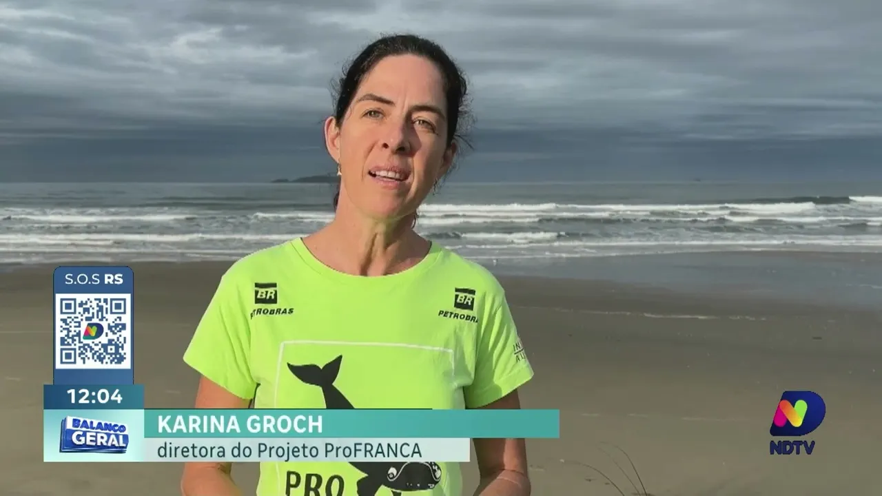 Avistamentos de baleias-francas nas costas de Laguna e Imbituba animam especialistas