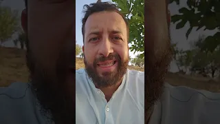 الإخوة 🇩🇿